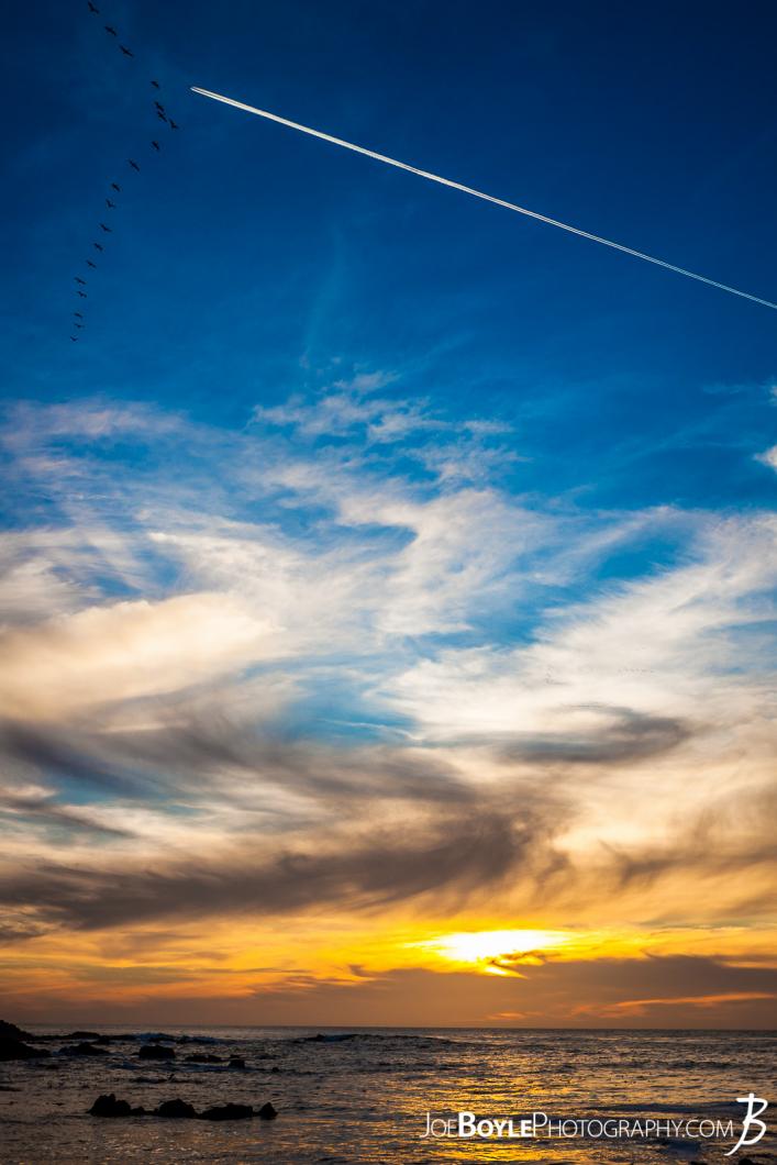 sunset-in-pacific-grove-with-birds-plane