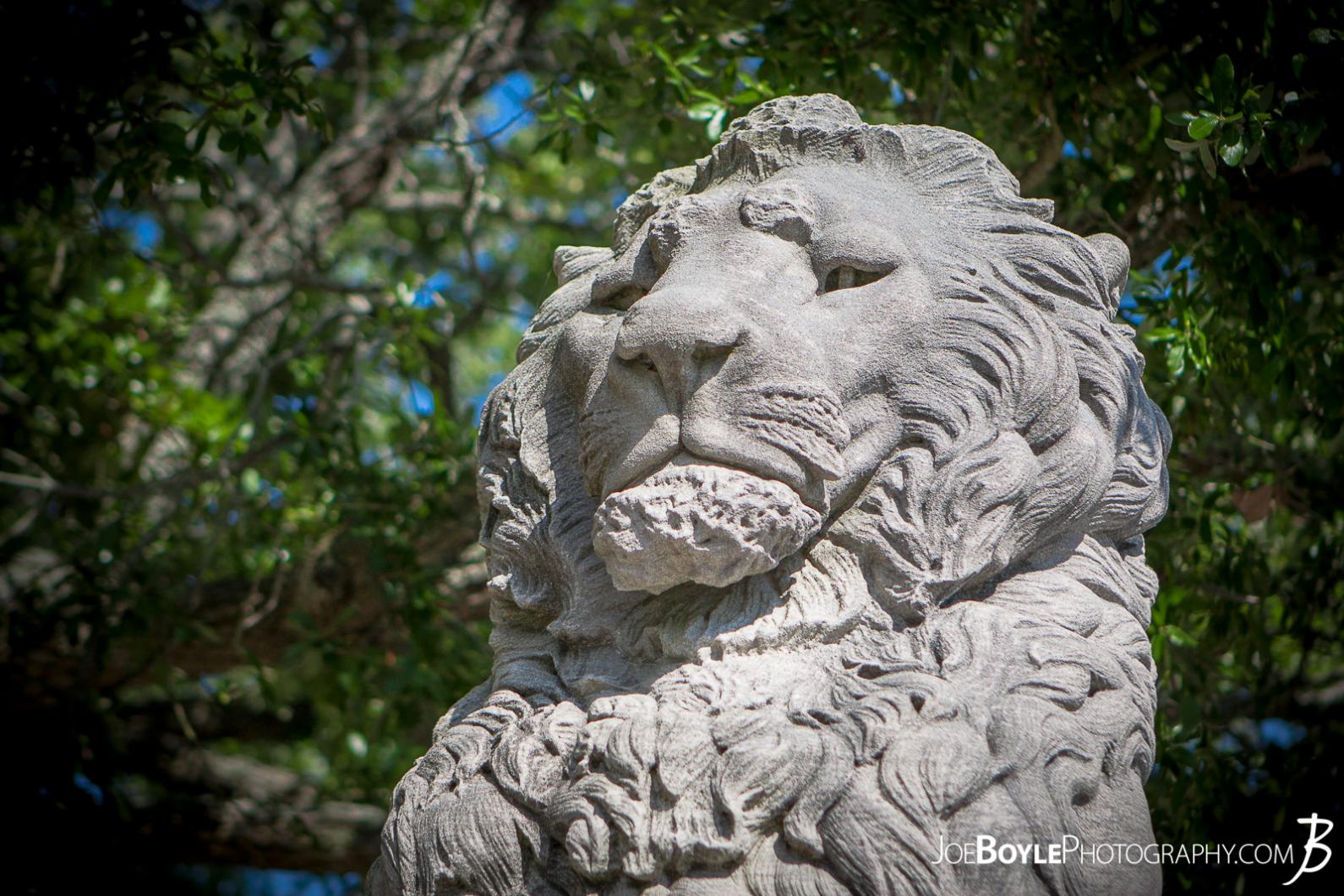 close-up-of-lion-statue-on-lions-bridge