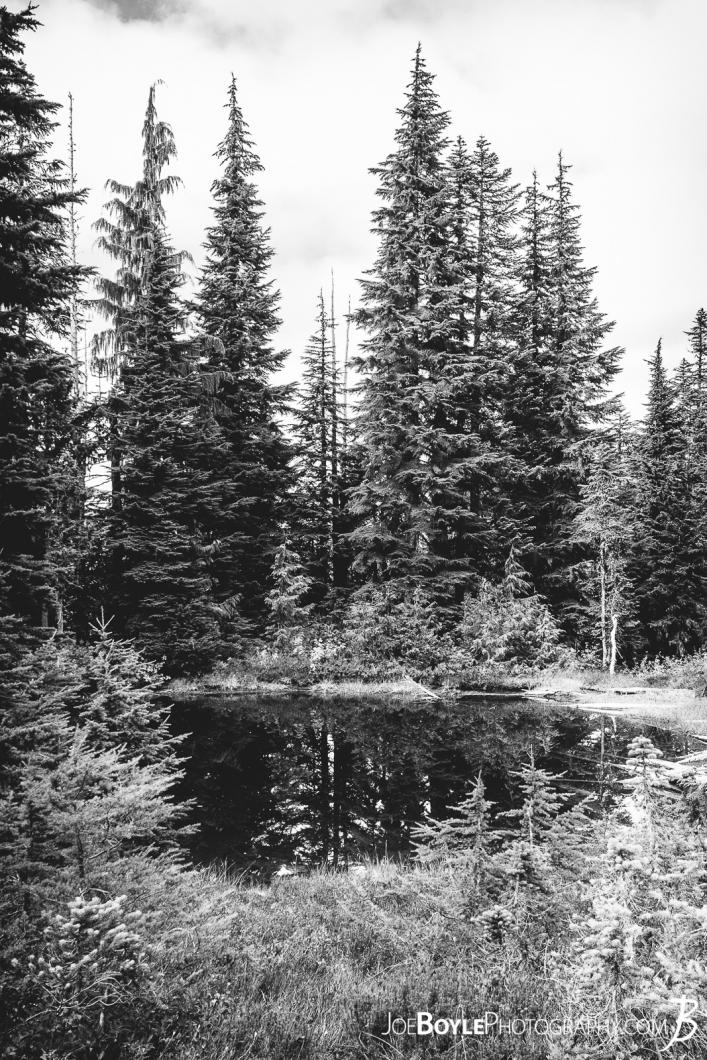 lake-and-trees-on-the-wonderland-trail-black-white