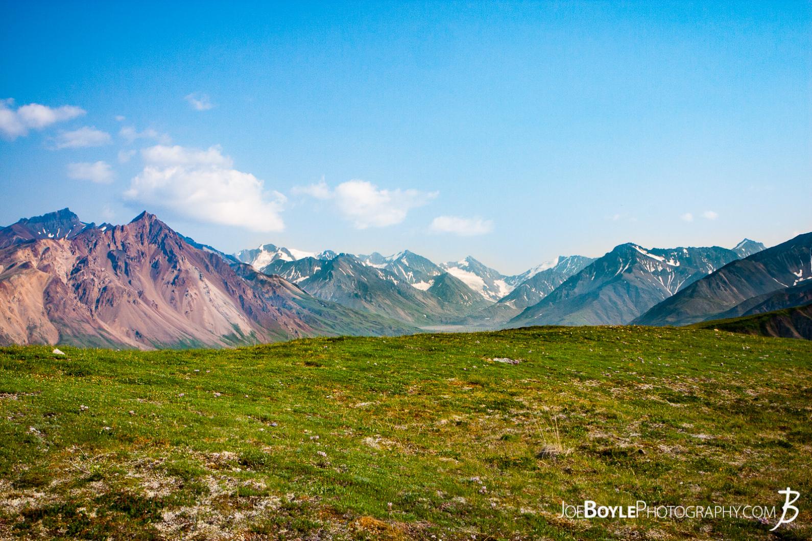 mountains-green-field-and-blue-sky-in-denali-national-park-grid-6