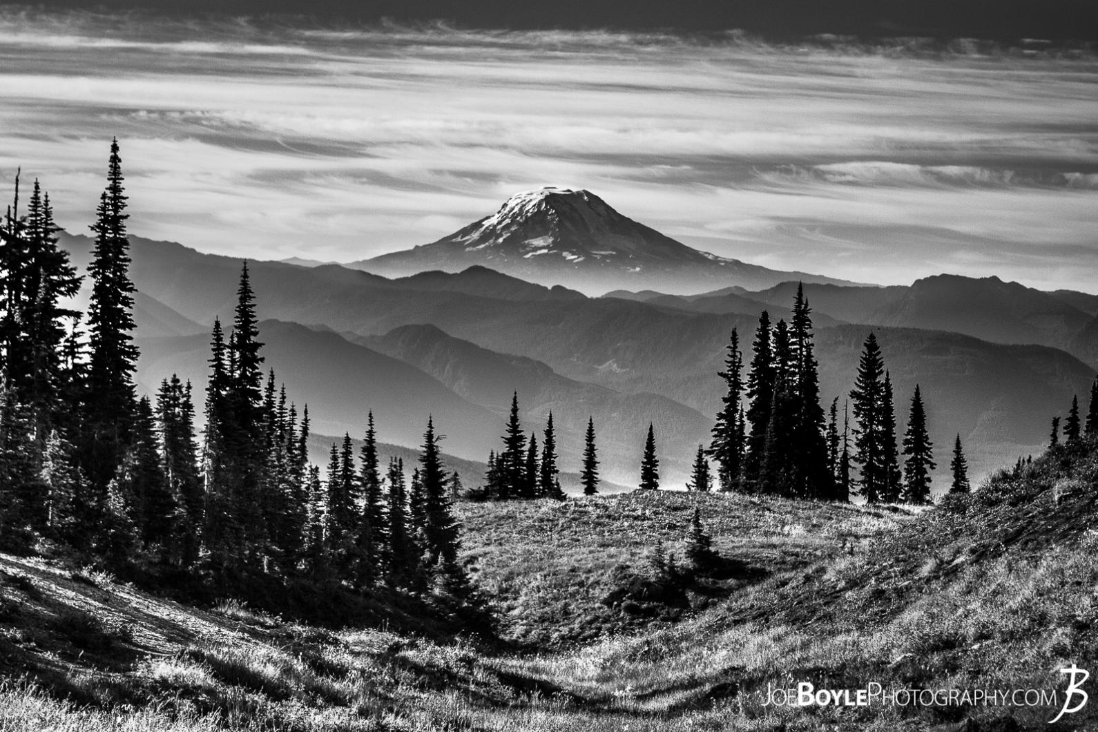 Buy Mount Adams From The Wonderland Trail After Panhandle