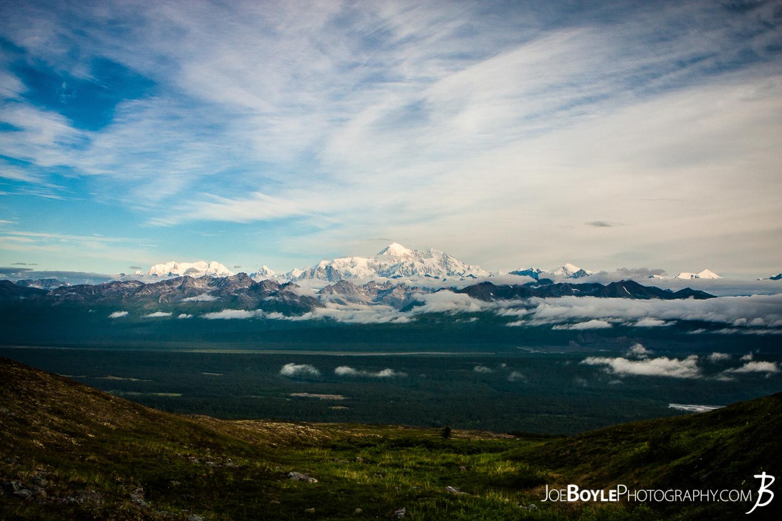 I took this ultra-wide photo of Mount Denali at the top of the first steep climb on the Kesugi Ridge Trail!