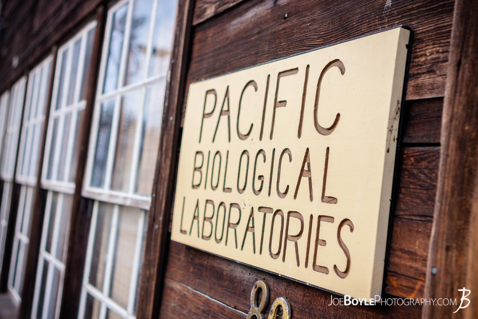 I was visiting Monterey and had to spend some time down Cannery Row. Here is a photo of the sign on the Pacific Biological Laboratories building.